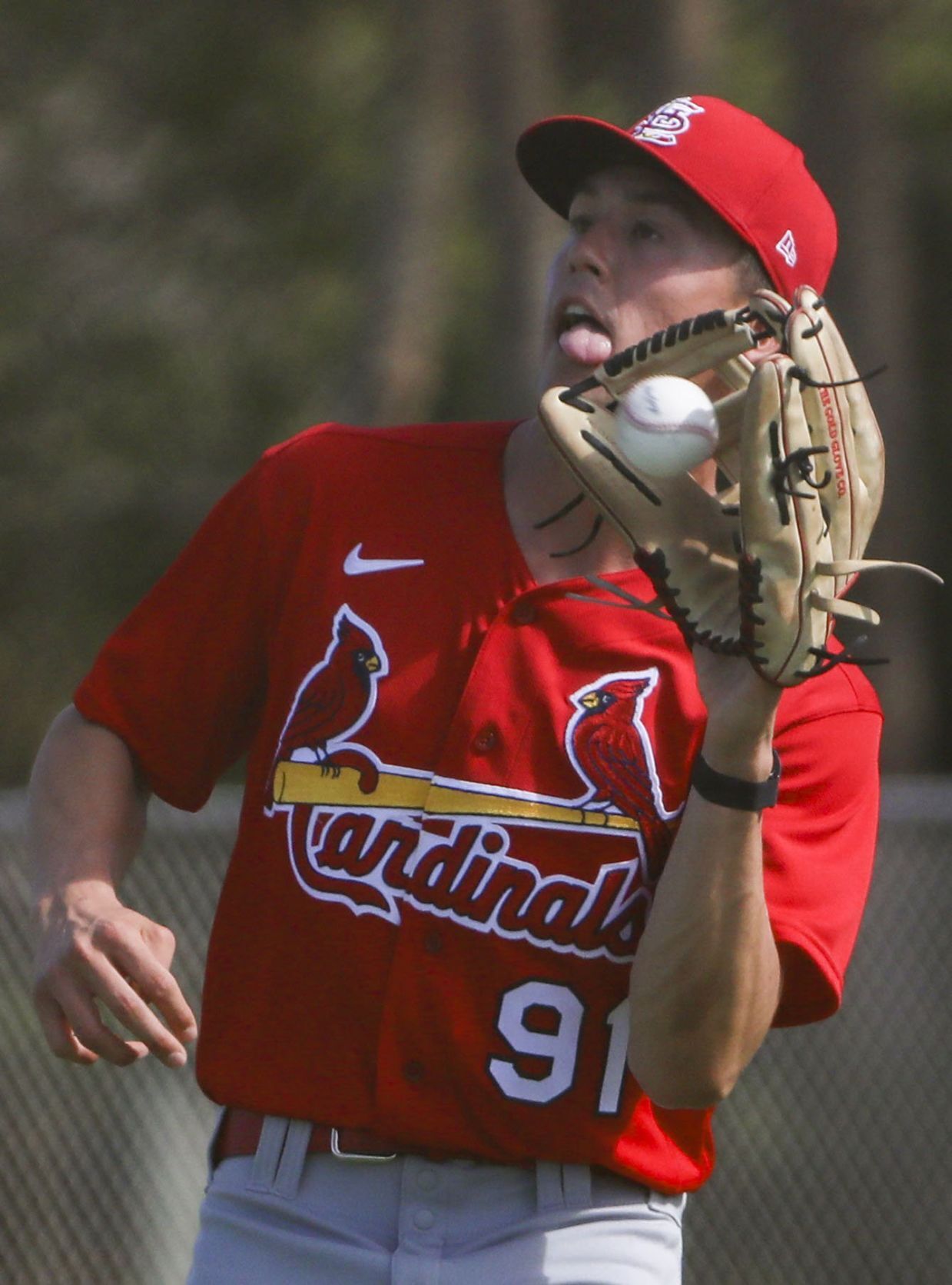 Second day of Cardinals full squad workouts